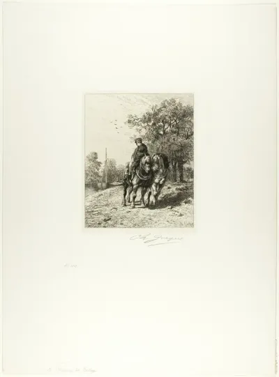 The Towpath