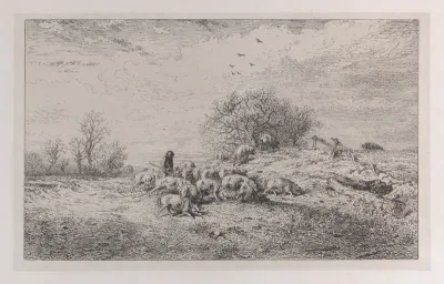 The Truffle Hunter