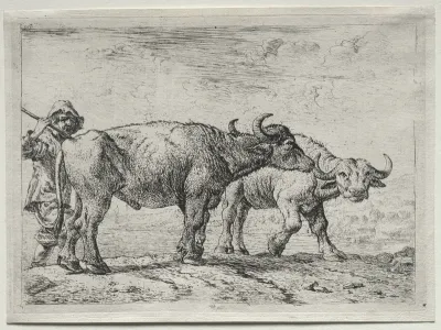 The Two Buffaloes
