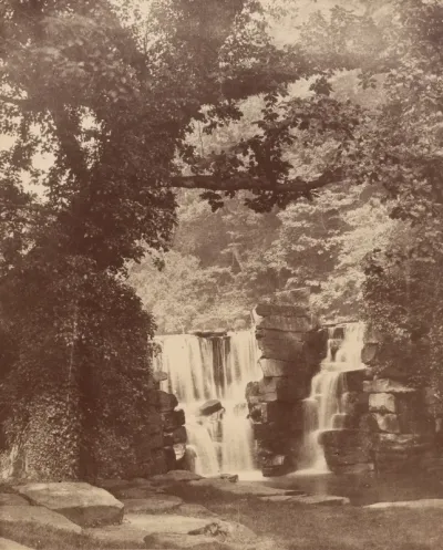 The Upper Falls, Penllergare Valley Woods