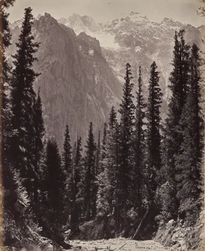 The Upper Himmalayahs. View in the Manga Valley