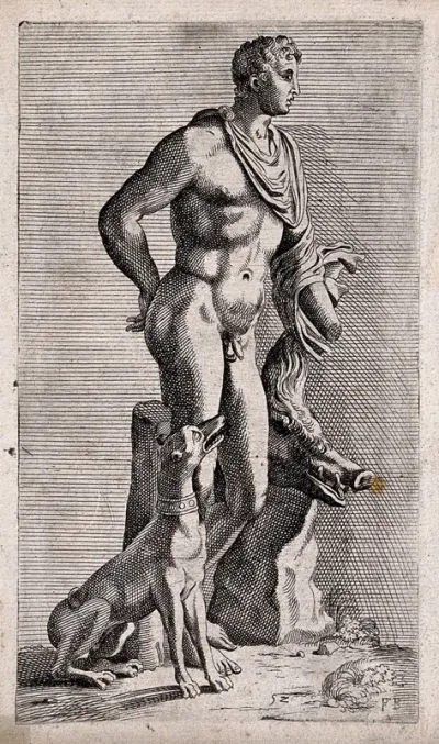 The Vatican Meleager: view of the boar's head side