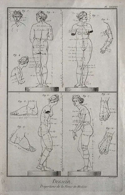 The Venus de Medici from the front and back, and in both lateral views; with details of her head, arm and feet