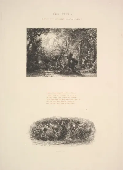 The Vine, or Plumpy Bacchus
