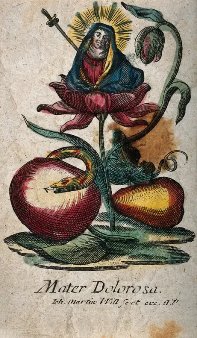 The Virgin of Sorrows in the blossom of a flower, underneath an apple, a pear and the serpent