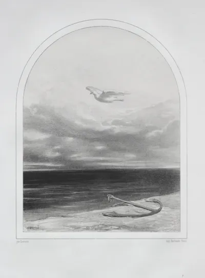 The White Dove