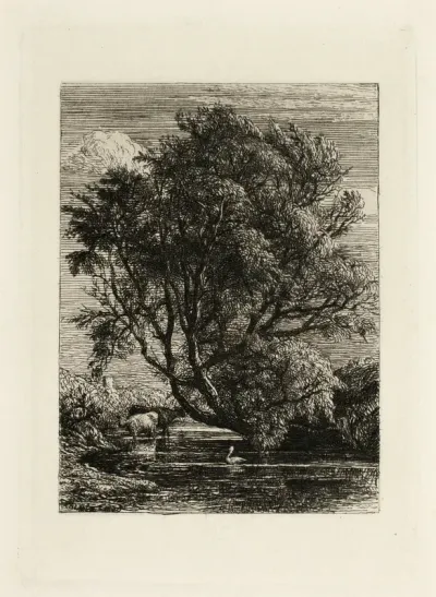 The Willow