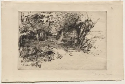 The Willows