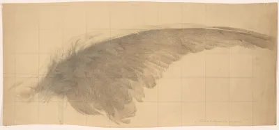 The Wing
