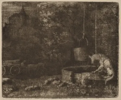The Wolf and the Well