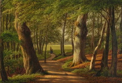The woods by Hellebæk