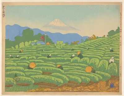 Theeplukken met de Fuji