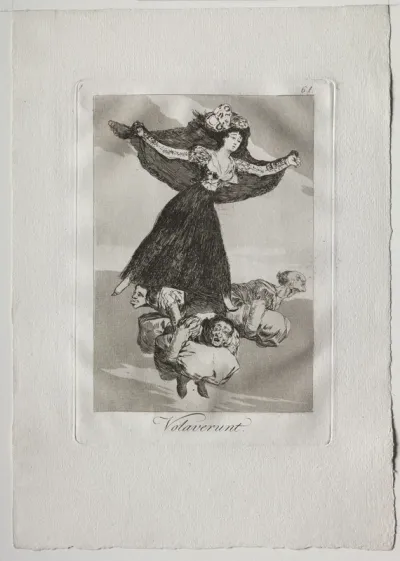 They Have Flown, Plate 61