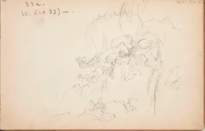 Thicket