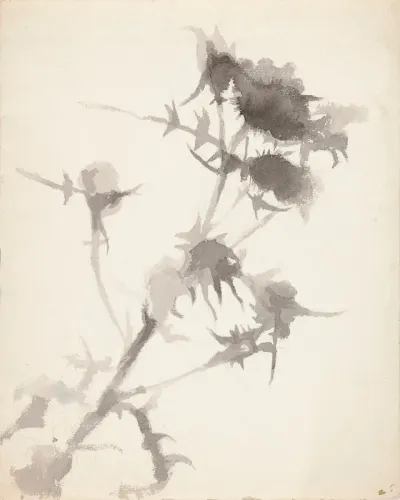Thistles
