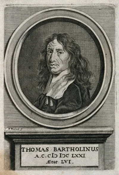 Thomas Bartholin