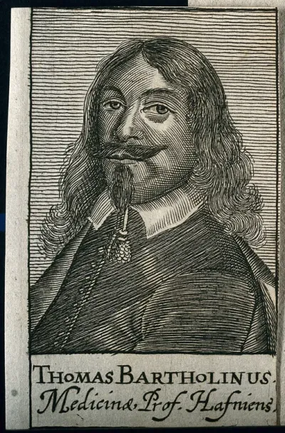 Thomas Bartholin
