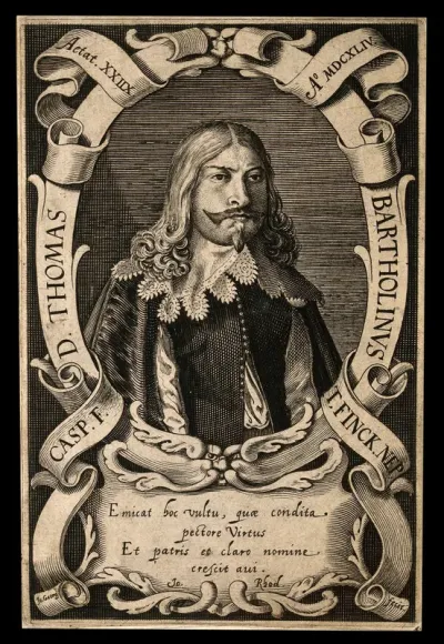 Thomas Bartholin