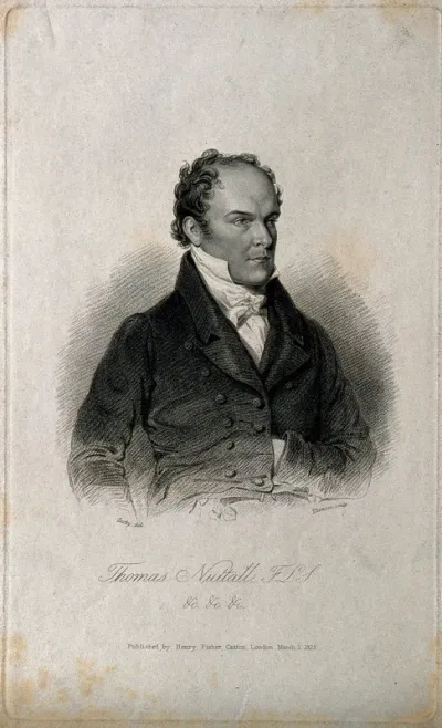 Thomas Nuttall. Stipple engraving by J. Thomson, 1825, after W. Derby
