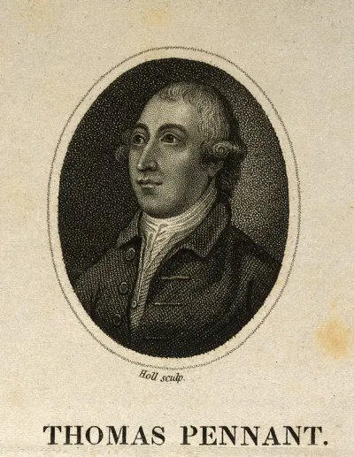 Thomas Pennant. Stipple engraving by Holl after T. Gainsborough, 1776
