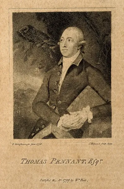 Thomas Pennant. Stipple engraving by J. Hopwood, 1799, after T. Gainsborough, 1776