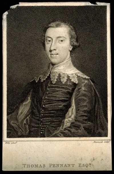 Thomas Pennant. Stipple engraving by J. Hopwood after J. Wills