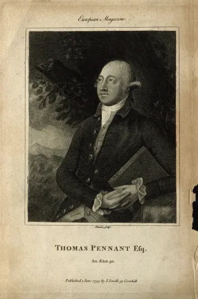 Thomas Pennant. Stipple engraving by R. Stanier, 1793, after T. Gainsborough, 1776