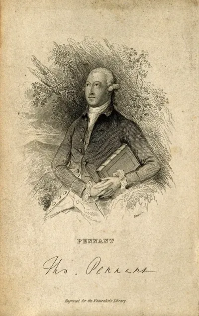 Thomas Pennant. Stipple engraving by W. H. Lizars, after T. Gainsborough, 1776