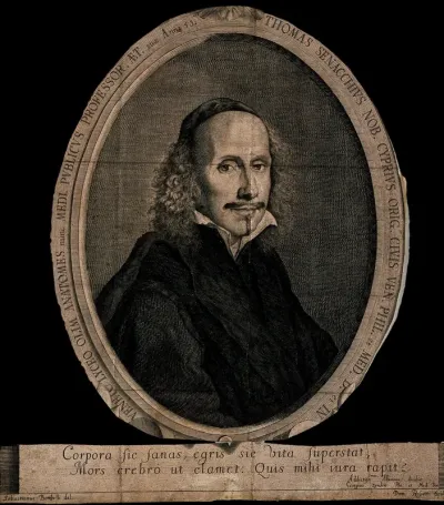 Thomas Senacchius