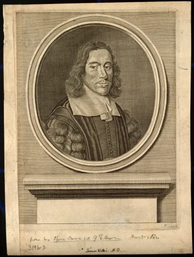 Thomas Willis. Line engraving, 1682, after D. Loggan