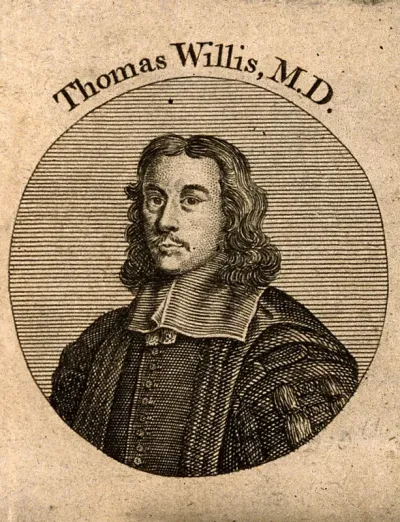 Thomas Willis. Line engraving after D. Loggan