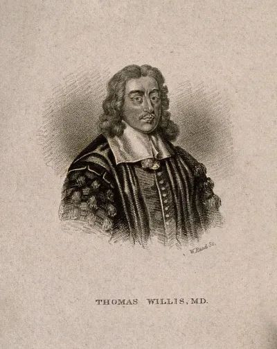 Thomas Willis. Line engraving by W. Read after D. Loggan