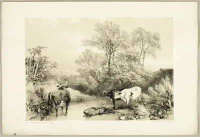 Thorn, Willow, Beech and Birch, from The Park and the Forest