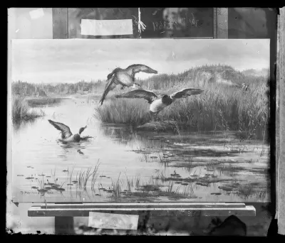 Thorsten Waenerberg: "Sorsajahti" vuodelta 1898