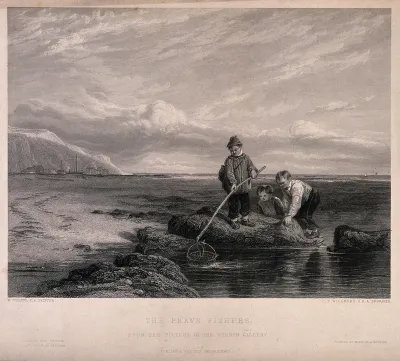 Three boys are fishing in rock pools with a large net