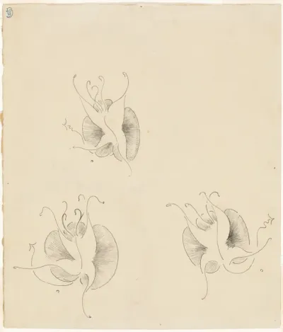 Three Butterflies