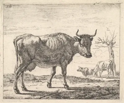 Three Cows