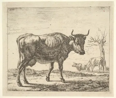 Three Cows, plate 5 from "Different Animals"