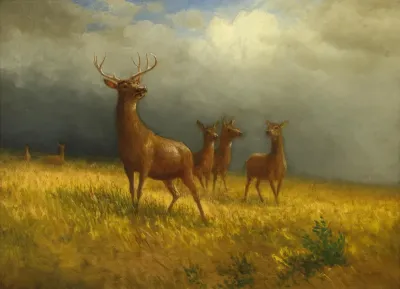 Three Deer and a Stag