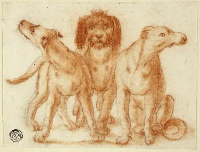 Three Dogs