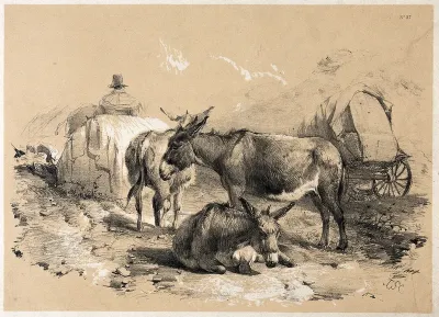 Three donkeys resting by a cart
