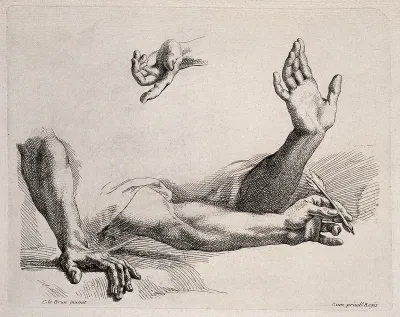Three forearms and one hand