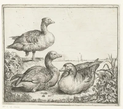Three geese