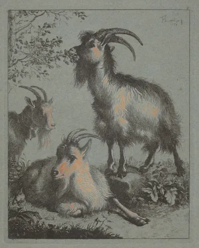 Three Goats