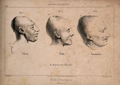 Three heads showing phrenological traits associated with insanity: a mentally defective person, a mad woman, and the murderer P.F
