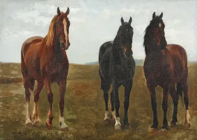 Three horses in a field.