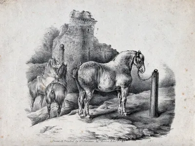 Three horses standing tied to pillars outside the ruins of a castle