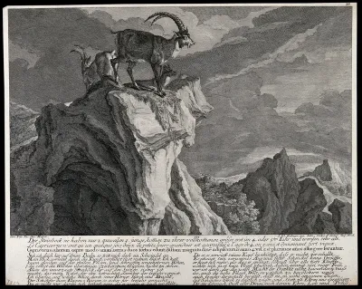 Three ibexes on a crag in the mountains