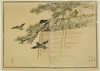 Three Kinds of Birds by a Wall