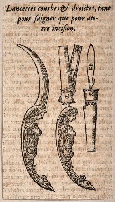 Three lancets for use in incision and bleeding procedures: two lancets have ornamental handles in the grotesque style, while another is shown stored in a sheath